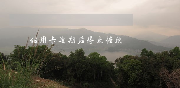 信用卡逾期后停止催款