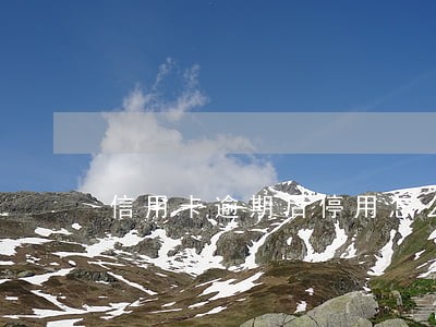 信用卡逾期后停用怎么办 信用卡逾期后停用怎么办