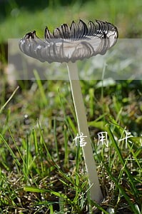 信用卡逾期后偿还了一部分