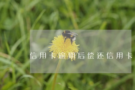 信用卡逾期后偿还信用卡还能用吗 信用卡逾期后偿还信用卡还能用吗