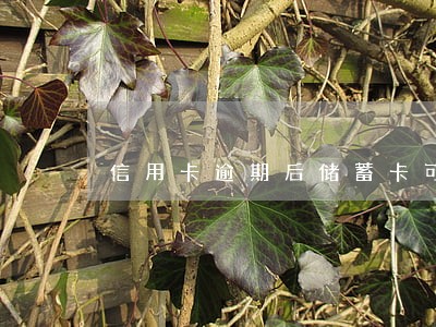 信用卡逾期后储蓄卡可以正常使用 信用卡逾期后储蓄卡可以正常使用