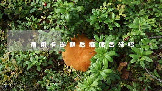 信用卡逾期后催债合法吗 信用卡逾期后催债合法吗