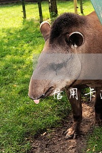 信用卡逾期后催收不打电话了 信用卡逾期后催收不打电话了
