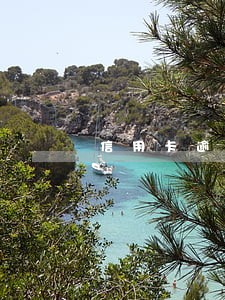 信用卡逾期后先还一部分怎么办