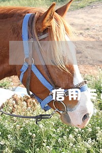 信用卡逾期后免息还款会怎么样 信用卡逾期后免息还款会怎么样