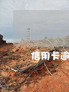 信用卡逾期后全款还后还能用吗 信用卡逾期后全款还后还能用吗