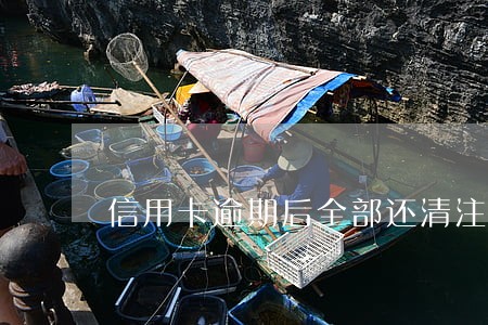 信用卡逾期后全部还清注销卡片 信用卡逾期后全部还清注销卡片