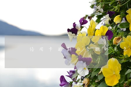 信用卡逾期后全额计息怎么算 信用卡逾期后全额计息怎么算