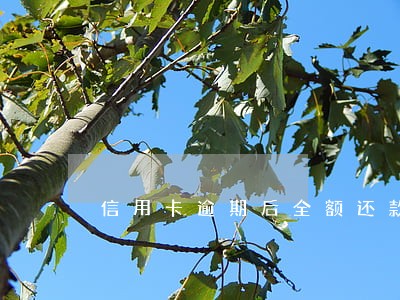 信用卡逾期后全额还款还给续卡吗