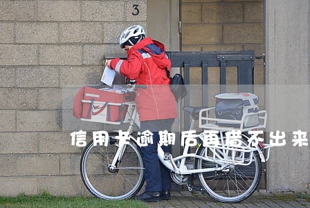 信用卡逾期后再借不出来了 信用卡逾期后再借不出来了