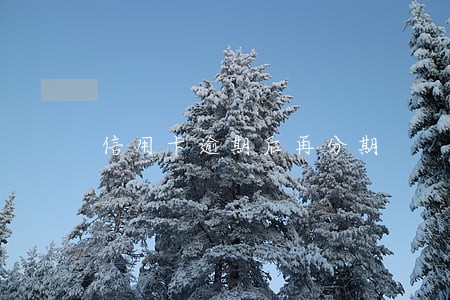 信用卡逾期后再分期 信用卡逾期后再分期