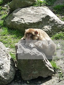 信用卡逾期后再还有意义吗 信用卡逾期后再还有意义吗