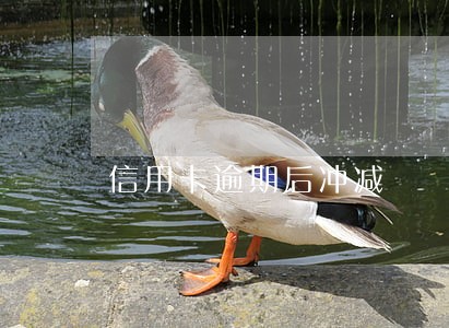 信用卡逾期后冲减 信用卡逾期后冲减