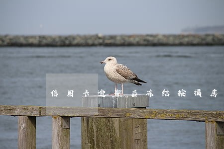 信用卡逾期后冻结按揭房吗 信用卡逾期后冻结按揭房吗
