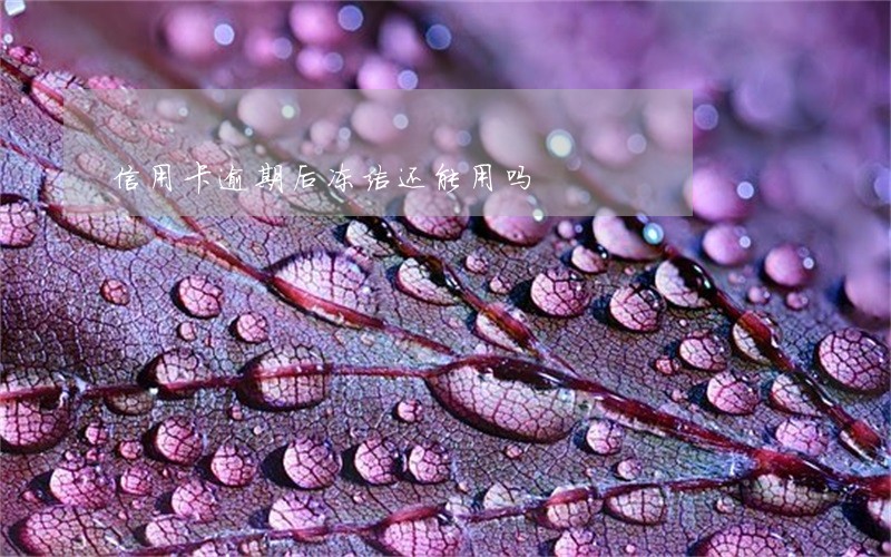 信用卡逾期后冻结还能用吗 信用卡逾期后冻结还能用吗