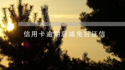 信用卡逾期后减免后征信 信用卡逾期后减免后征信
