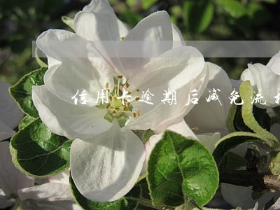 信用卡逾期后减免流程 信用卡逾期后减免流程