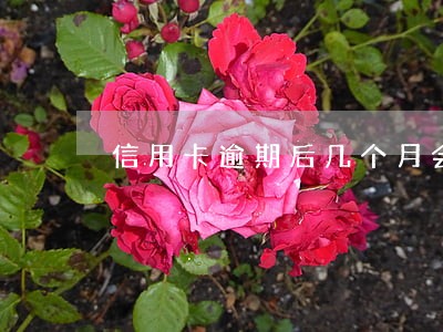 信用卡逾期后几个月会上征信