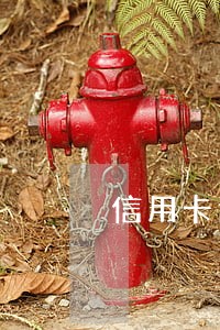 信用卡逾期后几天可以还款 信用卡逾期后几天可以还款