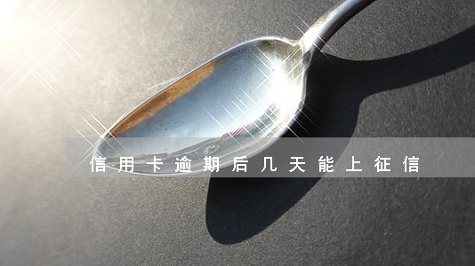 信用卡逾期后几天能上征信 信用卡逾期后几天能上征信