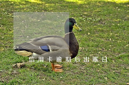 信用卡逾期后出账日 信用卡逾期后出账日