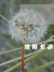 信用卡逾期后分期申请书模板 信用卡逾期后分期申请书模板