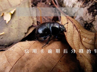 信用卡逾期后分期的特殊前提条件