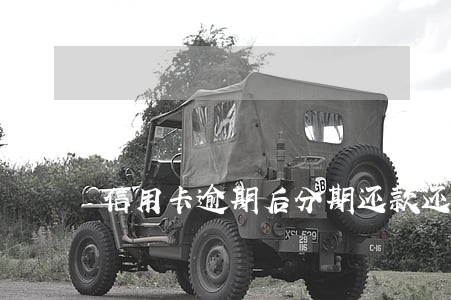 信用卡逾期后分期还款还可以吗 信用卡逾期后分期还款还可以吗
