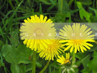 信用卡逾期后利息不再增长 信用卡逾期后利息不再增长