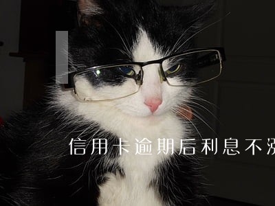 信用卡逾期后利息不涨了