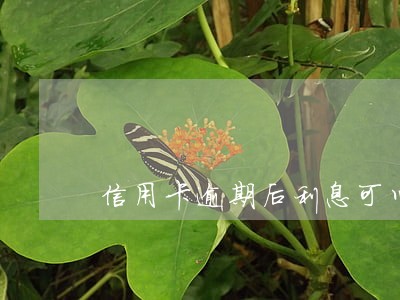 信用卡逾期后利息可以减掉