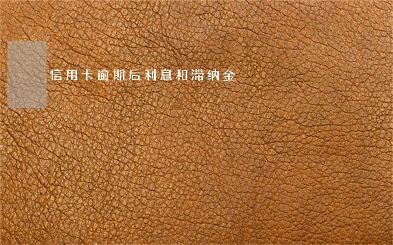 信用卡逾期后利息和滞纳金