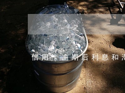 信用卡逾期后利息和滞纳金是多少 信用卡逾期后利息和滞纳金是多少