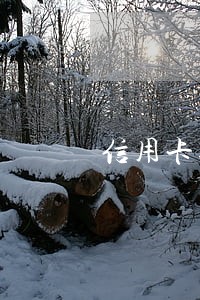 信用卡逾期后利息咱算 信用卡逾期后利息咱算