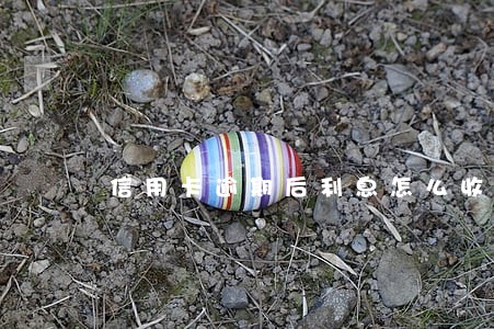 信用卡逾期后利息怎么收 信用卡逾期后利息怎么收