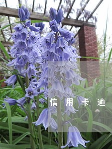 信用卡逾期后利息是不是很高
