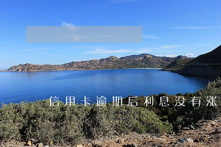 信用卡逾期后利息没有涨