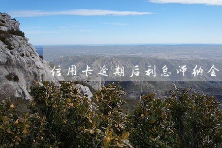 信用卡逾期后利息滞纳金20万 信用卡逾期后利息滞纳金20万