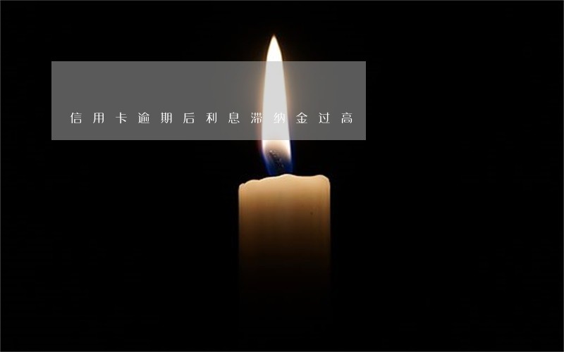 信用卡逾期后利息滞纳金过高 信用卡逾期后利息滞纳金过高