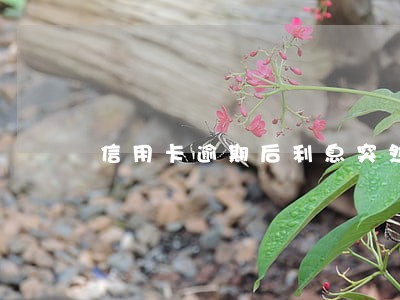 信用卡逾期后利息突然停了 信用卡逾期后利息突然停了