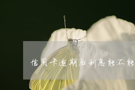 信用卡逾期后利息能不能减免