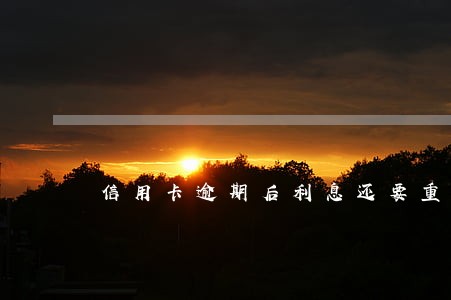信用卡逾期后利息还要重复计息 信用卡逾期后利息还要重复计息