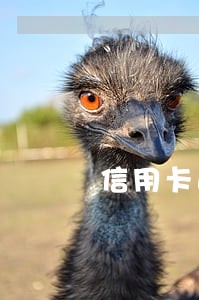 信用卡逾期后利率高吗