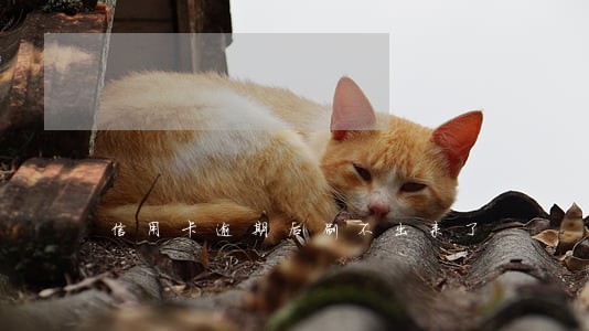 信用卡逾期后刷不出来了