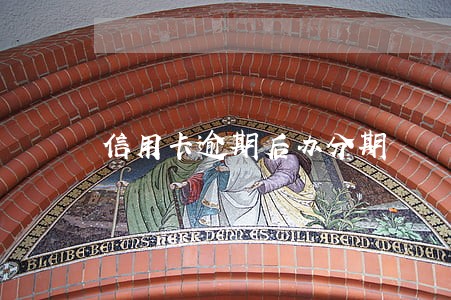 信用卡逾期后办分期 信用卡逾期后办分期