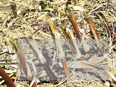 信用卡逾期后办分期再逾期怎么办 信用卡逾期后办分期再逾期怎么办