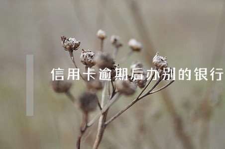 信用卡逾期后办别的银行信用卡