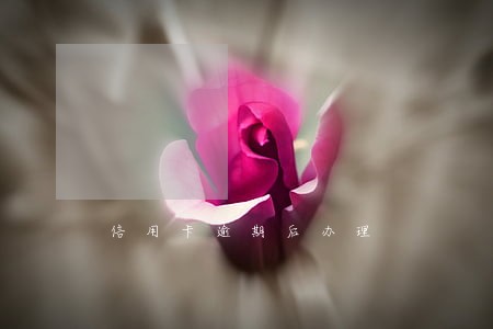 信用卡逾期后办理 信用卡逾期后办理