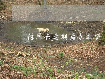 信用卡逾期后办车贷