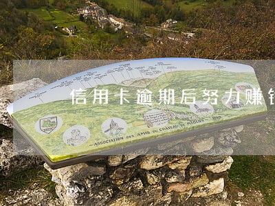 信用卡逾期后努力赚钱 信用卡逾期后努力赚钱